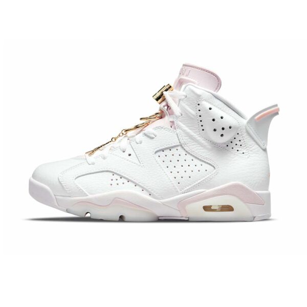 AJ 6 Retro Gold Hoops